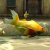 Goldfish